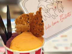 -莉莉熊Lililove Gelato (意大利手工冰淇淋)