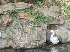 -兰亭风景区