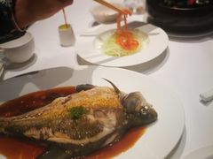 -芙蓉堂(武汉天地店)