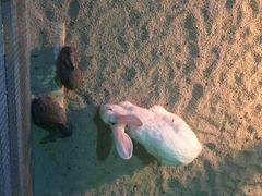 -常州海昌海洋探索馆