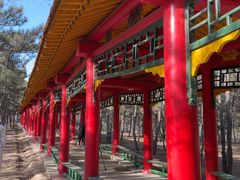 -乌素图国家森林公园