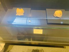 -北京周口店北京人遗址博物馆