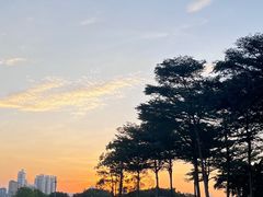 -海心沙亚运公园