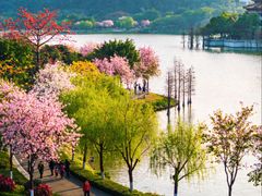 -顺峰山公园