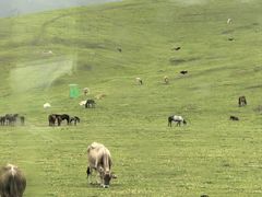 -新疆那拉提国家旅游度假区