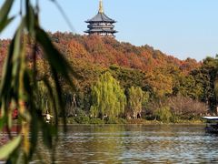 -西湖外事游船(花港观鱼码头)