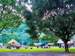 -清泉湾生态旅游度假区