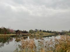 -眉山湿地公园(东坡区)
