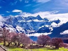 -魔指印象(西藏旗舰店)