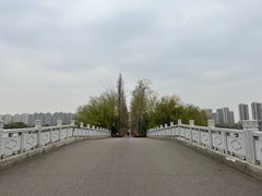 -洋湖国家湿地公园
