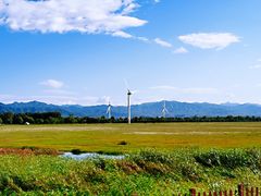 -野鸭湖国家湿地公园