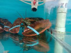 -名超海鲜烧烤大排档