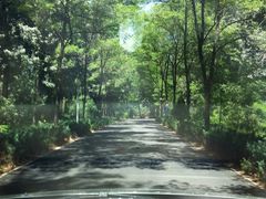景点-顺鑫绿色度假村
