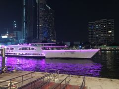 -大珍珠号夜游湄南河