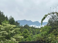 -梭布垭石林景区