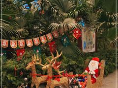 -南宫五洲植物乐园