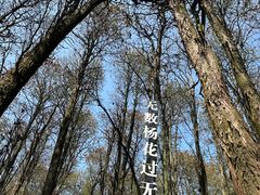 -同里国家湿地公园