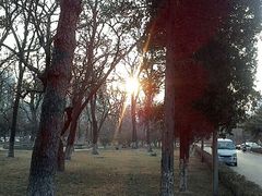 -辽宁大学(崇山校区)