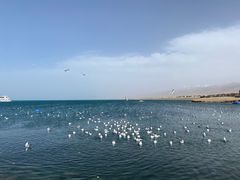 -青海湖国家重点风景名胜区