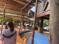 -亚马逊丛林水乐园