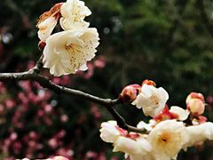 -贵阳市花溪国家城市湿地公园