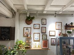 -田记宫廷奶酪
