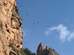 -炳灵寺世界文化遗产旅游区