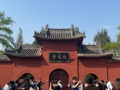 -洛阳白马寺