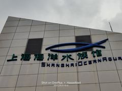 -上海海洋水族馆