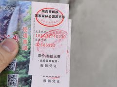 -青峰峡国家森林公园