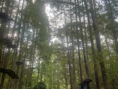 -灵栖洞天