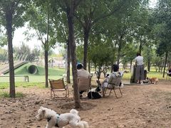 -爪吧宠物乐园 (温榆河示范区店)