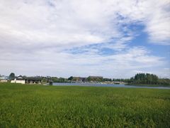 -杭州湾海上花田景区