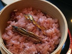 -料亭菊水楼