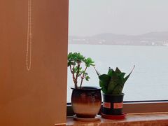 -海草馆自助餐厅(悦海店)