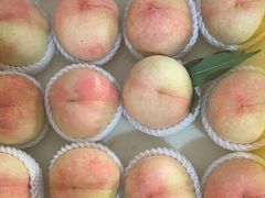 -老袁家蜜桃农场·阳山水蜜桃