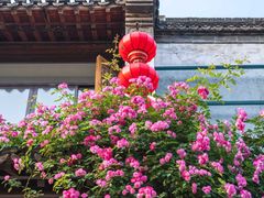 -老门东历史文化街区