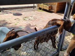 -长白岛森林公园