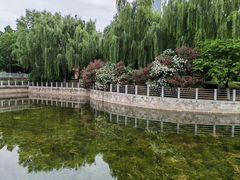 -后襄河公园