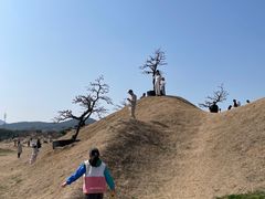 -香雪海
