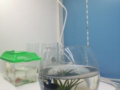 -弘阳·未来世界(弘阳广场店)