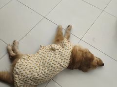 -怪兽屋·羊驼·猫咖·狗咖(俊华广场店)