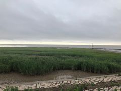 -南汇嘴观海公园