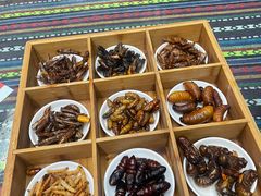 昆虫总动员-昆虫窝子·特色云南菜(拓东路总店)