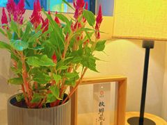 -十二舍·湯物素煮(江泰潤政店)