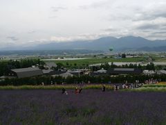 -富田农场