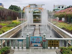 -百万葵园