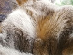 -猫和宫(六道口店)