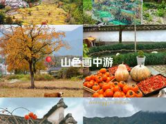 -塔川景区