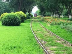 -永定河休闲森林公园